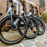 Bike Rentals