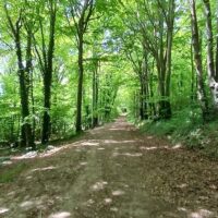 Sustainable Tours