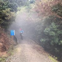 Walking & Biking Tours