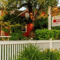 Walking Tours