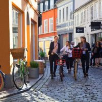 Cultural Tours