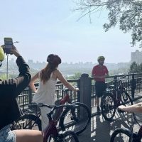Half-day Tours