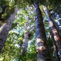 Eco Tours
