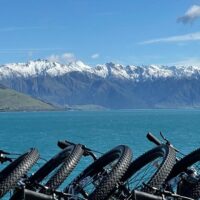 Private Sightseeing Tours