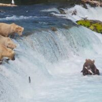 Luxury Tours