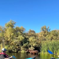 Kayaking & Canoeing