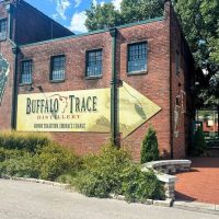Street Food Tours