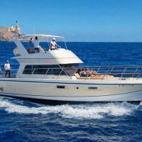 Boat Tours