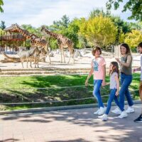 Zoo Tickets & Passes