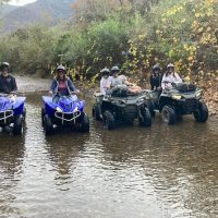 Luxury Tours