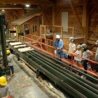 Sustainable Tours