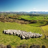4WD, ATV & Off-Road Tours