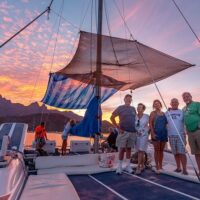 Day Cruises