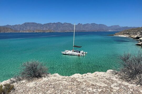 Cinco De Mayo in Loreto