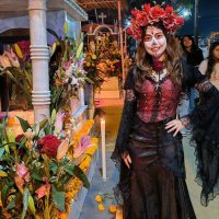 Weddings & Honeymoons