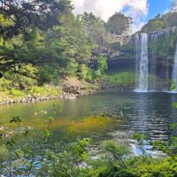Eco Tours
