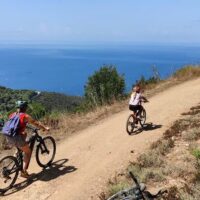 Holiday & Seasonal Tours
