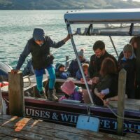 Ferry Services