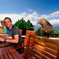 Historical & Heritage Tours