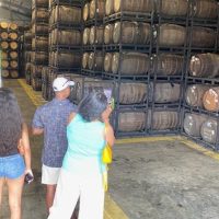 Beer & Brewery Tours