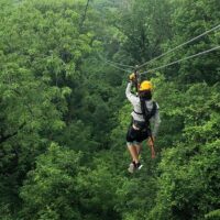 Ziplines