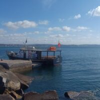 Cultural Tours