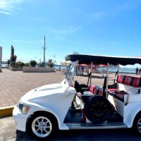 Private & Custom Tours