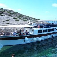 Brunch Cruises