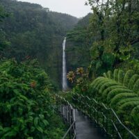Full-day Tours