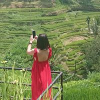 Shore Excursions