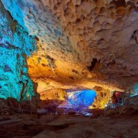 Eco Tours