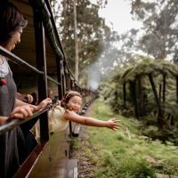 Bus & Minivan Tours
