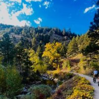 Day Trips & Excursions