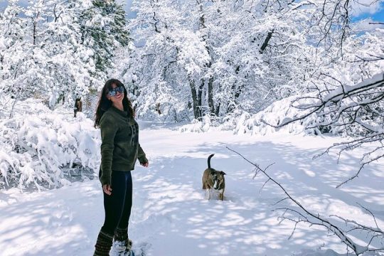 President's Day in Big Bear