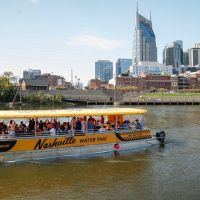 Day Cruises