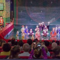 Family-friendly Shows