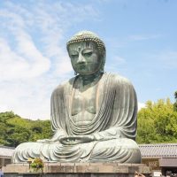 Half-day Tours