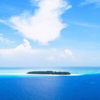 Bus & Minivan Tours