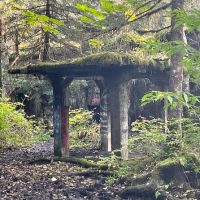 Sightseeing Tickets & Passes