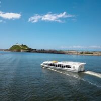 Day Cruises