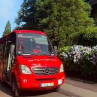 Hop-on Hop-off Tours