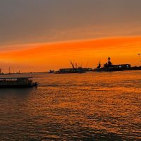 Boat Tours
