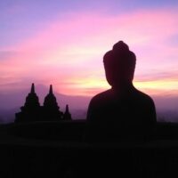 Bus & Minivan Tours