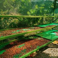 Chocolate Tours
