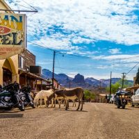 Hop-on Hop-off Tours
