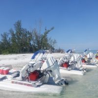 Holiday & Seasonal Tours