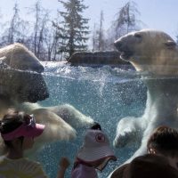Zoo Tickets & Passes
