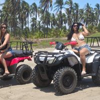 Cruises, Sailing & Water Tours