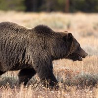 Holiday & Seasonal Tours
