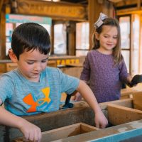 Museum Tickets & Passes